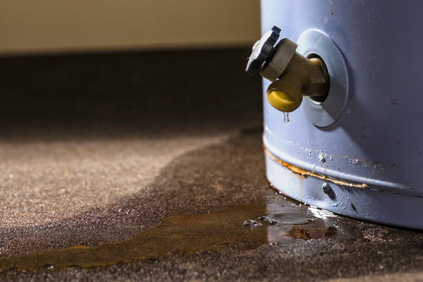 Best Flooded house restoration  in Wildwood, NJ