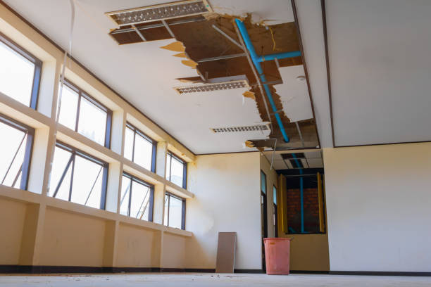 Best 24/7 water damage repair  in Wildwood, NJ