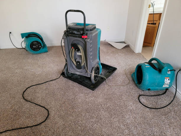 Best Water damage repair service  in Wildwood, NJ