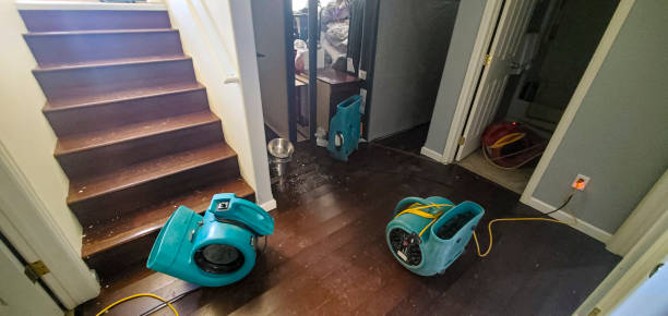  Wildwood, NJ Water damage restoration Pros