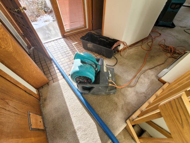 Best Sewage cleanup and water damage restoration  in Wildwood, NJ