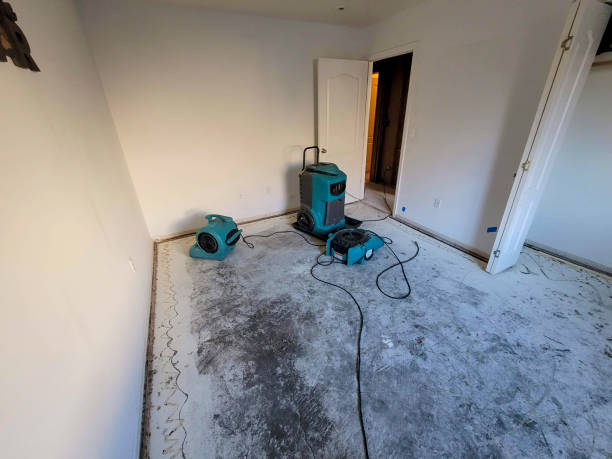 Best Water damage cleanup near me  in Wildwood, NJ