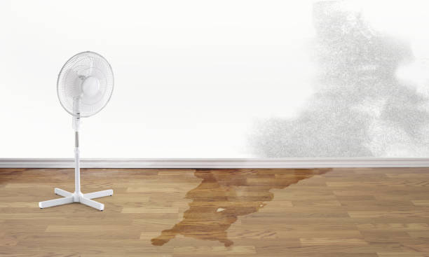 Best Water damage restoration services  in Wildwood, NJ