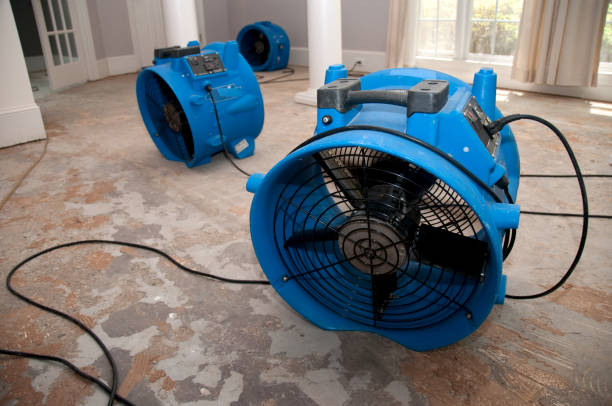 Best Water damage restoration cost  in Wildwood, NJ