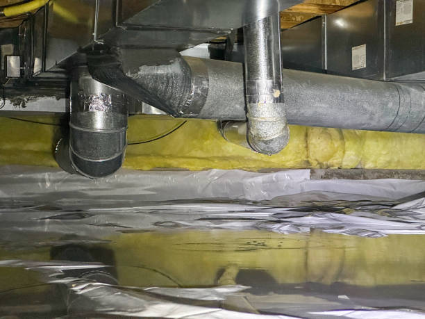 Best Water damage restoration near me  in Wildwood, NJ