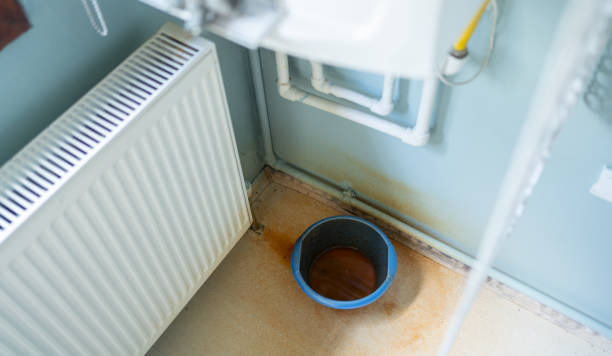 Best Flood damage cleanup  in Wildwood, NJ