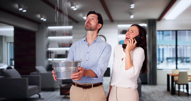 Best Local water damage restoration  in Wildwood, NJ