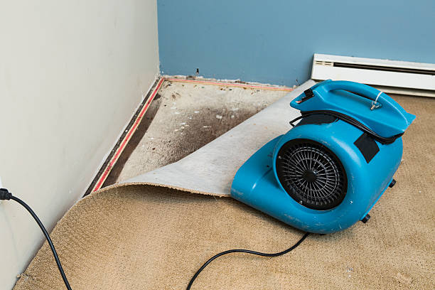 Best Carpet water damage restoration  in Wildwood, NJ